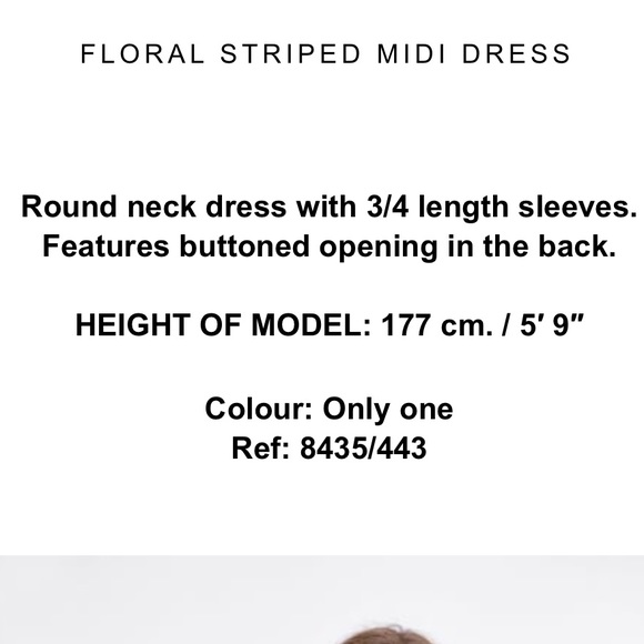 Zara- FLORAL STRIPED MIDI DRESS - Picture 5 of 8